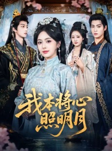 短剧《我本将心照明月》70集短剧1080P在线免费追