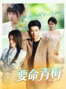 短剧《要命青梅》60集短剧无广告在线免费看