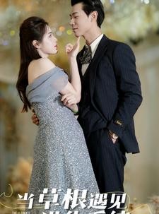 短剧《当草根遇见进化系统》104集短剧蓝光画质全集无广告观看