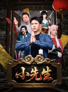 短剧《小先生》79集短剧高清全集极速播放
