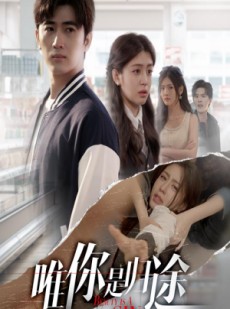 短剧《唯你是归途》52集短剧全集高清极速在线观看