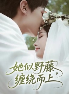短剧《她似野藤，缠绕而上》51集短剧在线解锁全集观看