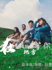 短剧《在有风的地方等你》32集短剧超清画质免费追全集