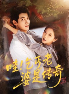 短剧《哇乞丐老婆是传奇》61集短剧全集资源免费分享观看
