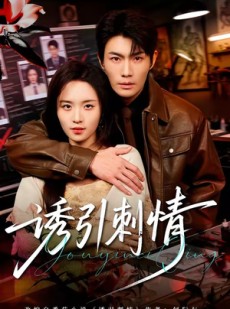 短剧《诱引刺情》60集短剧高清在线免费追全集