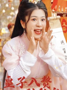 短剧《皇子入赘到我家》94集短剧全集高清在线免费追