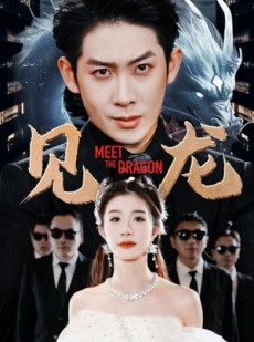 短剧《见龙》78集短剧蓝光画质无广告观看