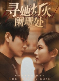 短剧《寻她灯火阑珊处》61集短剧高清版全集在线看