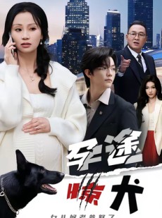 短剧《孕途惊犬，女儿奴老爸怒了》30集短剧在线观看无广告