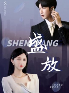 短剧《盛放》71集短剧全集高清流畅在线观看不卡顿