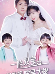 短剧《一胎双宝，我的妈咪是大佬》91集短剧手机在线流畅观看