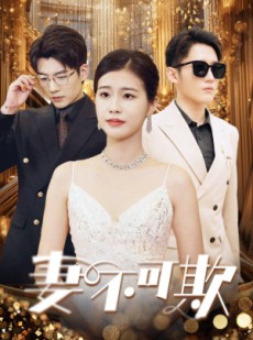 短剧《妻无可欺》85集短剧高清流畅在线免费看