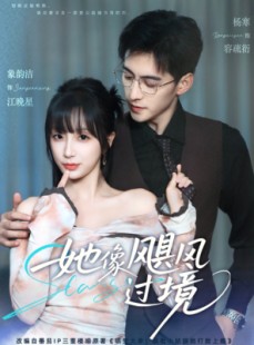 短剧《她像飓风过境》81集短剧完整剧情在线追更