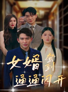 短剧《女婿驾到，通通闪开》34集短剧高清流畅在线免费看