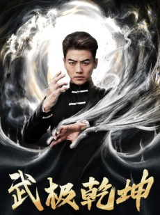 短剧《武极乾坤》90集短剧蓝光画质无广告观看