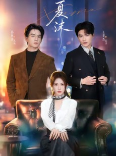 短剧《夏沫》65集短剧高清完整版免费观看