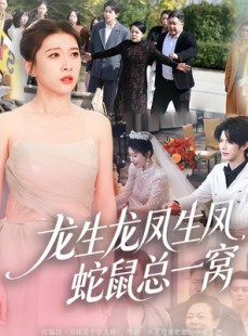 短剧《龙生龙凤生凤，蛇鼠总一窝》60集短剧在线解锁全集观看