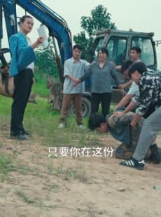 短剧《望子成龙》55集短剧全集抢先在线观看