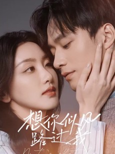 短剧《想你似风路过我》40集短剧蓝光画质无广告观看