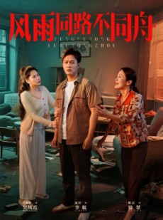短剧《风雨同居不同舟》32集短剧无广告在线完整观看
