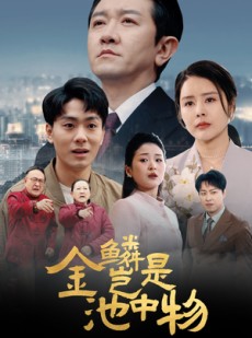 短剧《金鳞岂是池中物》61集短剧全集极速缓冲流畅播放
