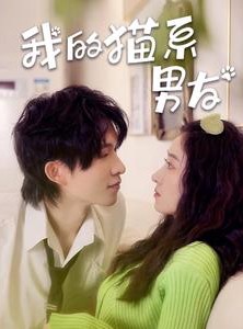 短剧《我的猫系男友》24集短剧全集高清在线追剧神器