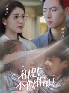 短剧《相思不似相识》101集短剧超清资源解锁即刻享