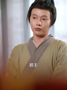 短剧《穿越古代从卖蚊香开始到一品皇商》95集短剧完整版在线免费观看