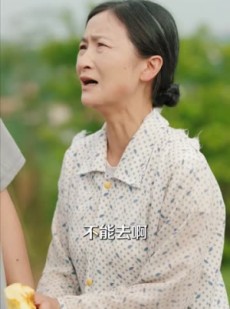 短剧《光宗耀祖》64集短剧高清流畅在线免费看