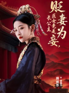 短剧《贬妻为妾医女竟是长公主》80集短剧全集高清版手机观看