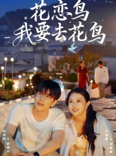 短剧《花恋鸟我要去花鸟》60集短剧免费观看完整版