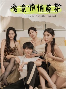 短剧《和她们的命运羁绊》30集短剧手机高清在线观看