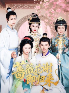 短剧《蔷薇花谢即归来》61集短剧高清流畅在线免费看
