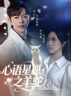 短剧《心语星愿之羊驼》60集短剧全集资源在线免费享