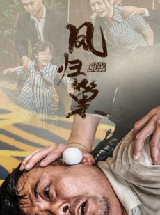 短剧《新版：凤归巢》68集短剧全集在线观看无删减