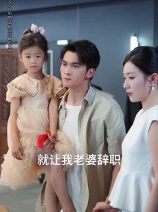 短剧《意外邂逅美人入我怀》82集短剧无广告在线追完整版