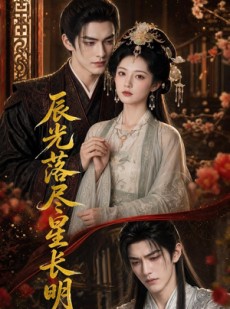 短剧《辰光落尽星长明》48集短剧完整版在线免费追剧