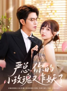 短剧《严总你的小玫瑰又作妖了》77集短剧在线速看全集不卡顿