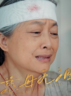 短剧《慈母无泪》30集短剧蓝光画质无广告观看