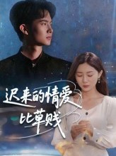 短剧《迟来的情爱比草贱》46集短剧高清流畅在线观映
