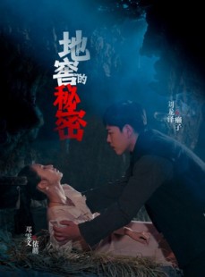 短剧《地窖的秘密》40集短剧全集高清流畅无删减观看