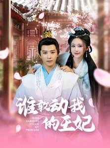 短剧《谁敢动我的王妃》62集短剧全集极速缓冲流畅看