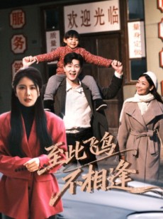 短剧《至此飞鸟不相逢》70集短剧1080P画质免费看