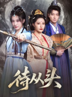 短剧《待从头》72集短剧在线观看无广告干扰