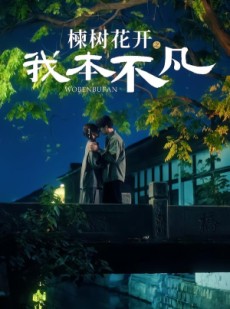 短剧《楝树花开之我本不凡》74集短剧高清无广告在线观看