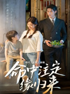 短剧《命中注定缘归来》63集短剧全集资源一键解锁观看