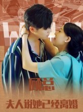 短剧《顾总，夫人说她已经离婚》30集短剧免费网盘资源观看