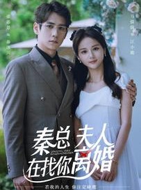 短剧《秦总，夫人在找你离婚》79集短剧极速播放无需等待