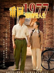 短剧《重回1977我的野性人生》83集短剧每日更新在线连看不停