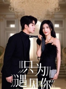 短剧《只为遇见你》88集短剧1080P高清全集在线追更